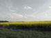 Campagne
