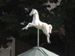Cheval
